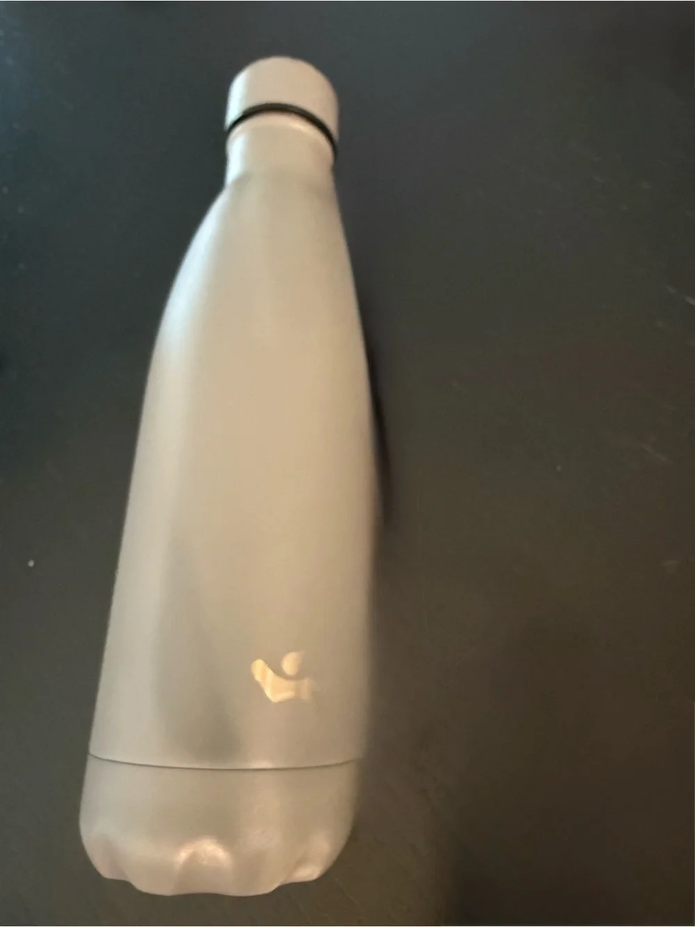 Matte Cream Insulated Bottle with Subtle Logo - Picture 3 of 5